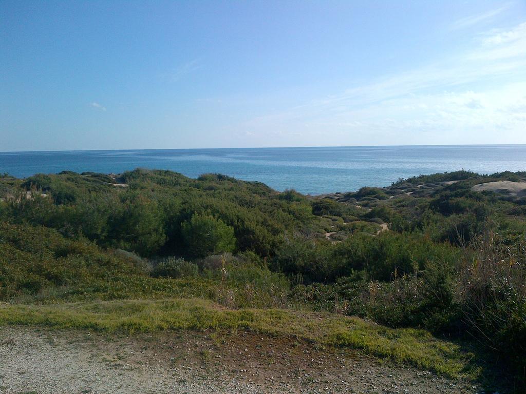 Tenuta Cardinale Manduria Bagian luar foto